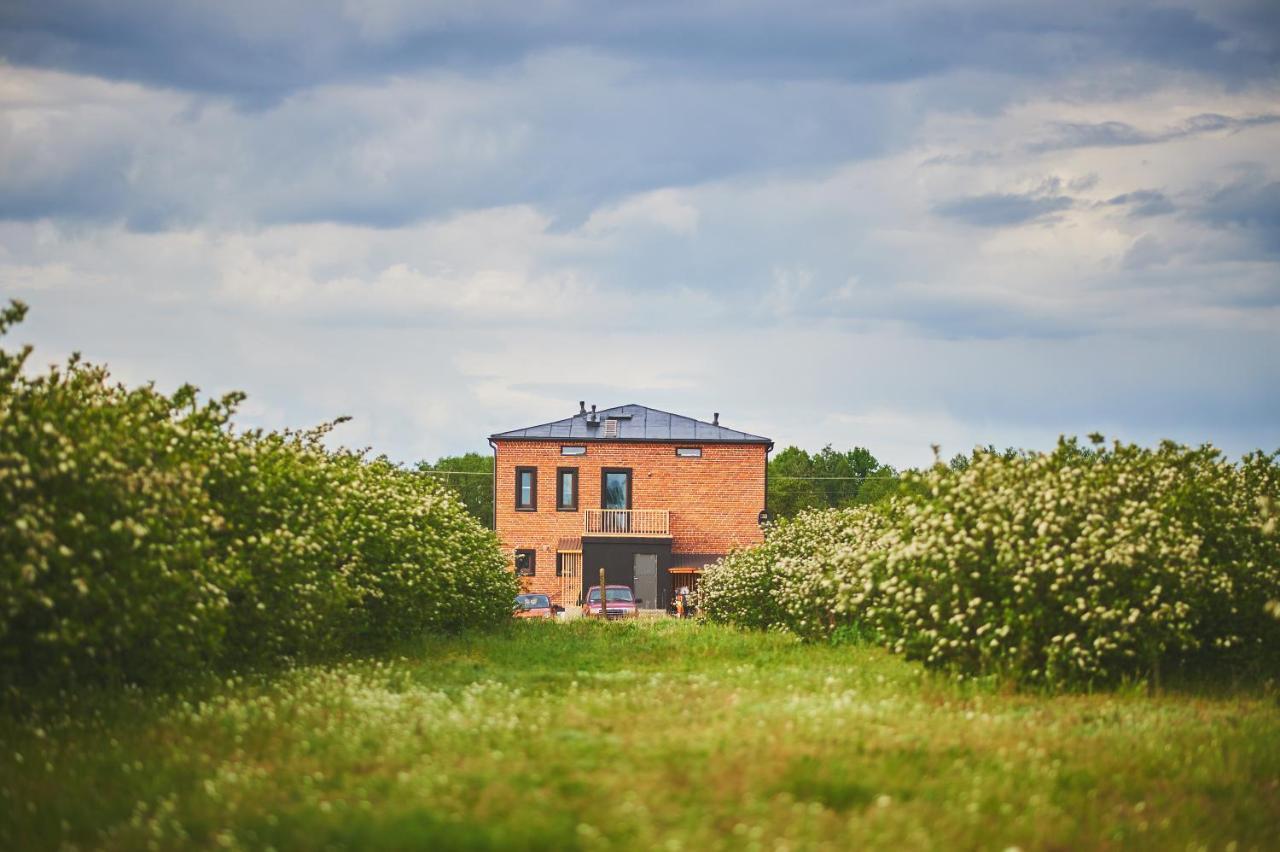 Apartment Loft Winnica Sopel Ziewanice